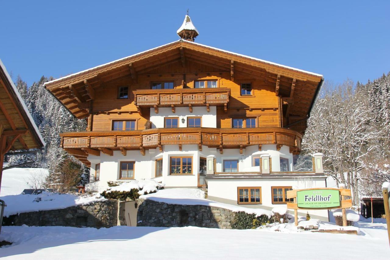 Feldlhof Villa Schladming Exterior photo